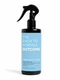Fabric Sofa Cleaner — The Back To Normal Outcome