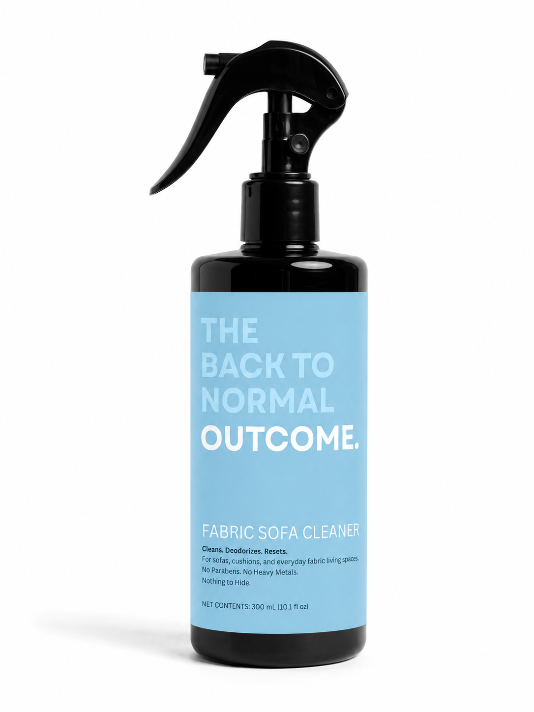 Fabric Sofa Cleaner — The Back To Normal Outcome